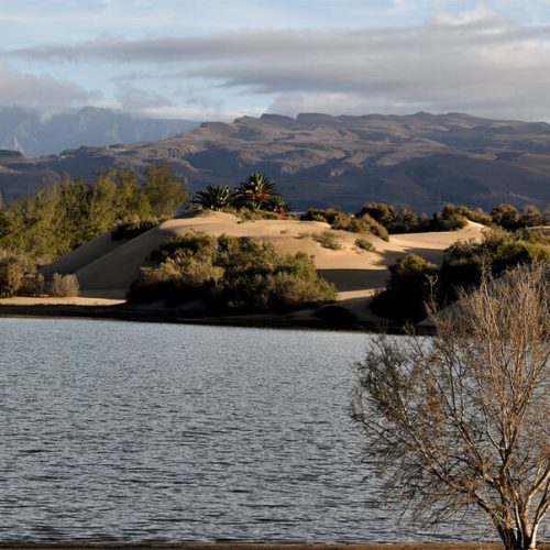 canary-islands-7142736_1920 copia