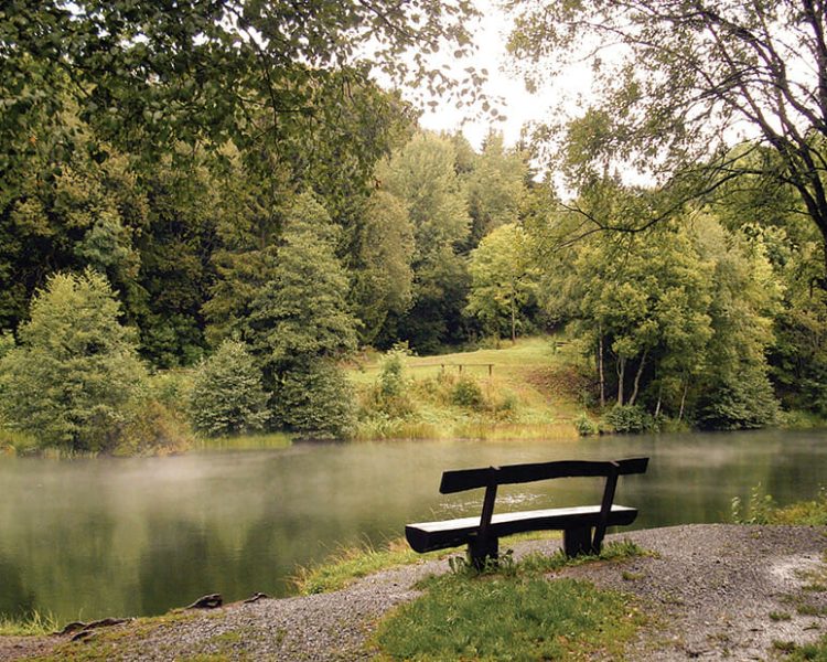 Viajes escolares a Gredos
