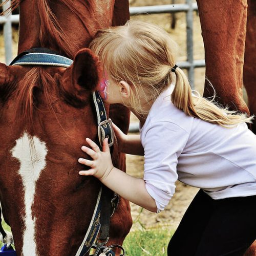 little-girl-1425594_1920