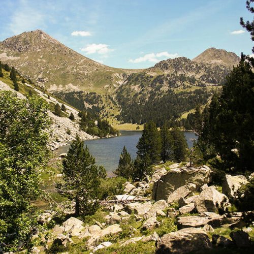 national-park-5147612_1920