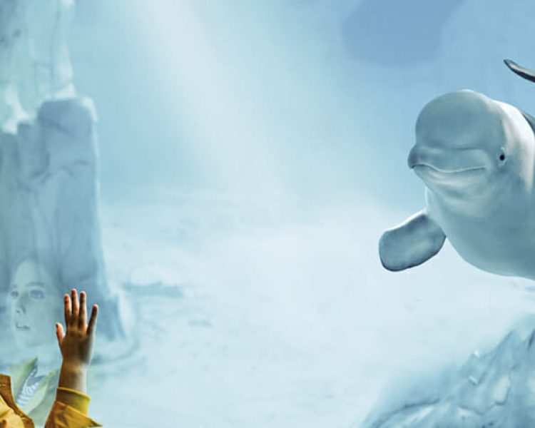 Viajes escolares de aventura a Valencia